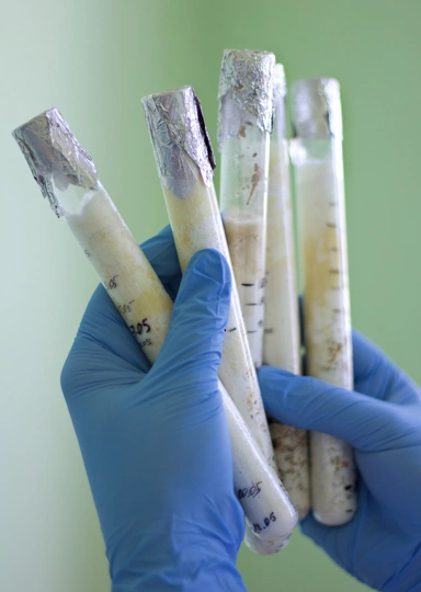 Я выращиваю мебель из&nbsp;грибов и&nbsp;мусора. Посмотрите сами