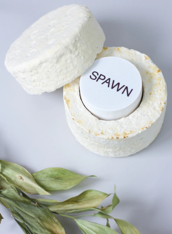 Я выращиваю мебель из&nbsp;грибов и&nbsp;мусора. Посмотрите сами