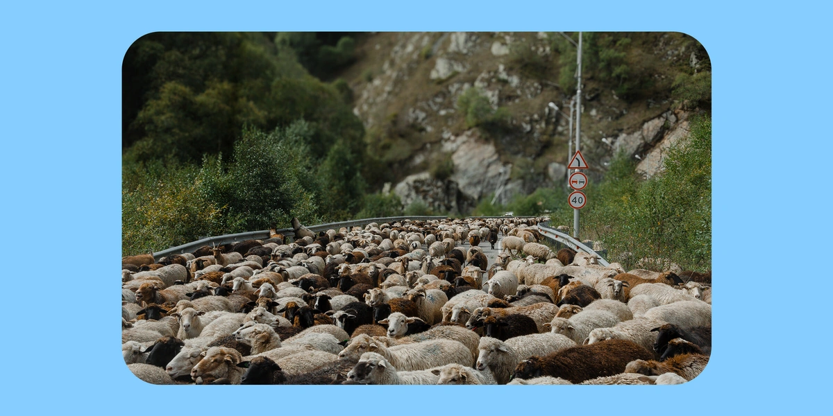 Как живут и&nbsp;что едят люди в&nbsp;автодомах