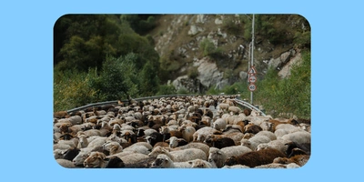 Как живут и&nbsp;что едят люди в&nbsp;автодомах