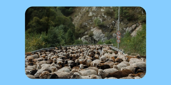 Как живут и&nbsp;что едят люди в&nbsp;автодомах