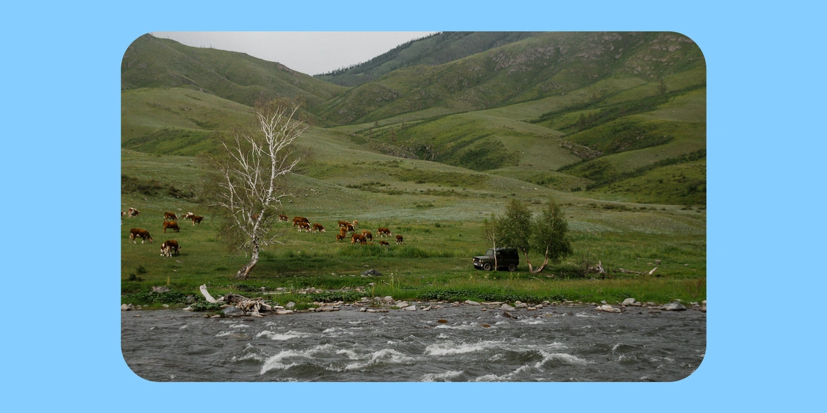 Как живут и&nbsp;что едят люди в&nbsp;автодомах