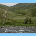 Как живут и что едят люди в автодомах