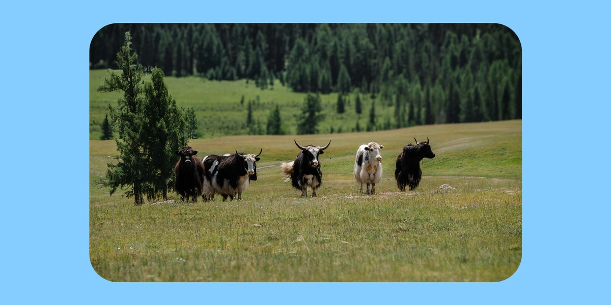 Как живут и&nbsp;что едят люди в&nbsp;автодомах