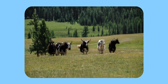 Как живут и&nbsp;что едят люди в&nbsp;автодомах