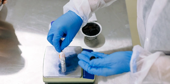 Убери глютен: непростое производство теста