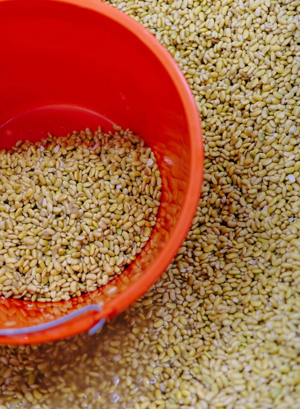 Убери глютен: непростое производство теста