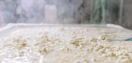 Убери глютен: непростое производство теста