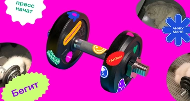 Спортзалы не нужны… Возможен ли ЗОЖ без беговых дорожек, йоги и аэробики?