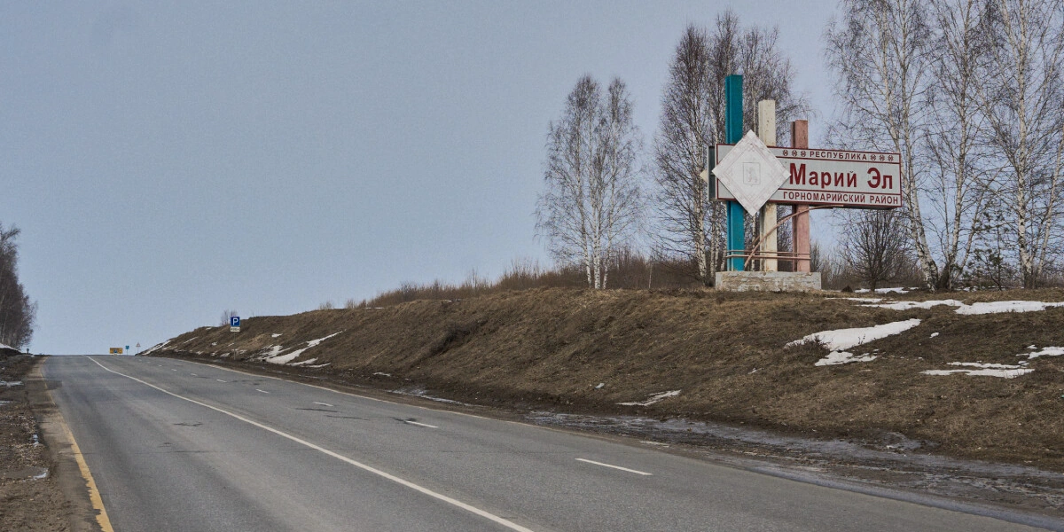 Не простое, а столовое: как куры свободного выгула несут яйца