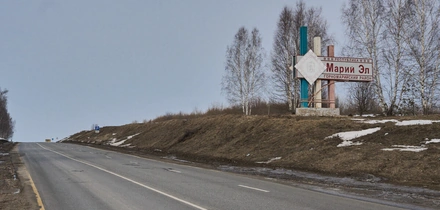 Не простое, а столовое: как куры свободного выгула несут яйца