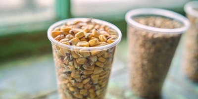 Не простое, а столовое: как куры свободного выгула несут яйца