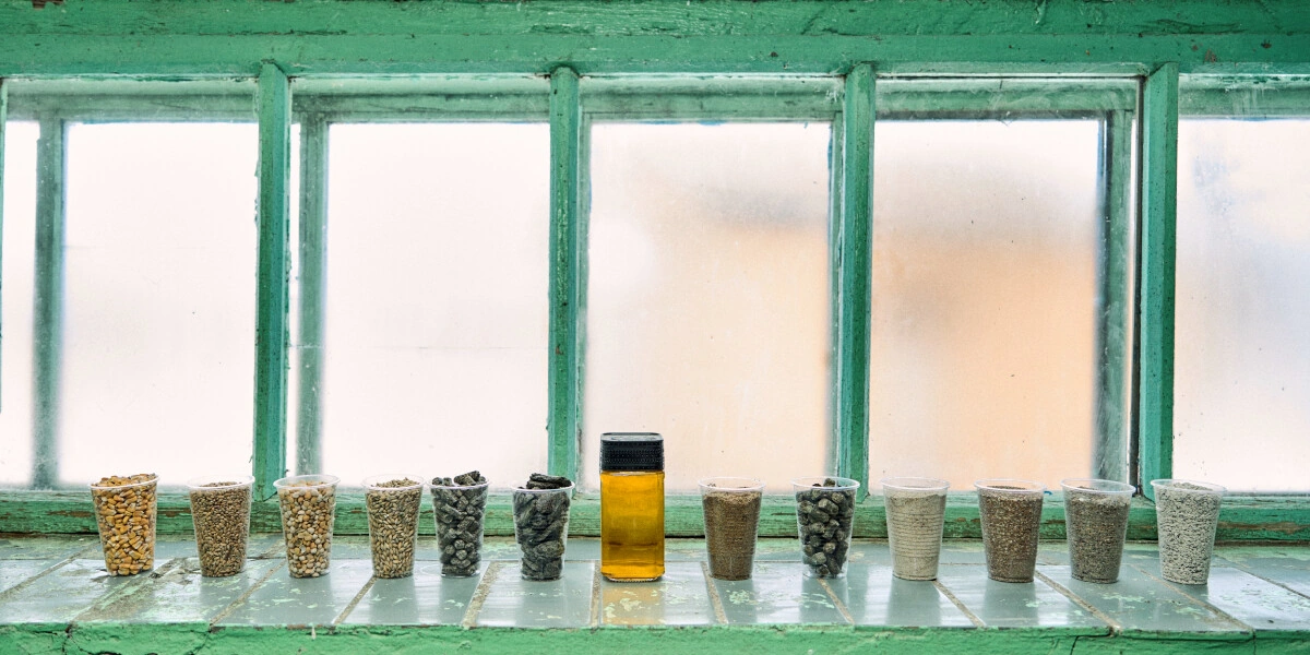 Не простое, а столовое: как куры свободного выгула несут яйца