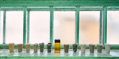 Не простое, а столовое: как куры свободного выгула несут яйца