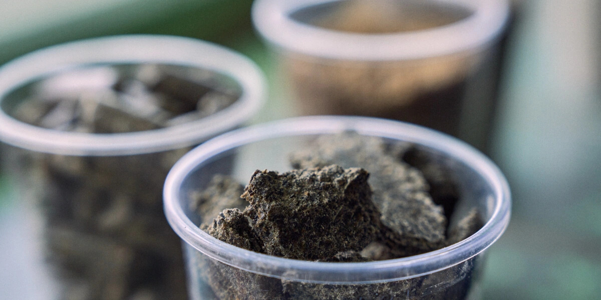 Не простое, а столовое: как куры свободного выгула несут яйца