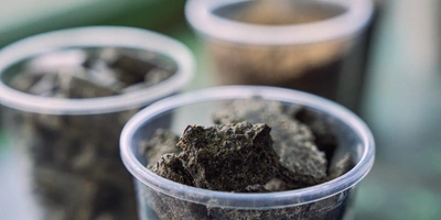 Не простое, а столовое: как куры свободного выгула несут яйца