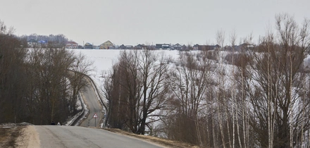 Не простое, а столовое: как куры свободного выгула несут яйца