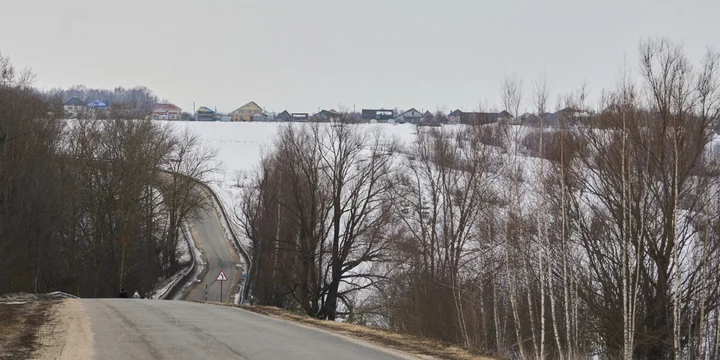 Не простое, а столовое: как куры свободного выгула несут яйца