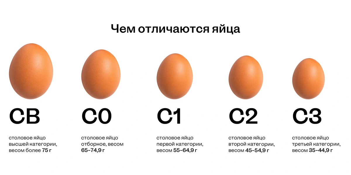Не простое, а столовое: как куры свободного выгула несут яйца