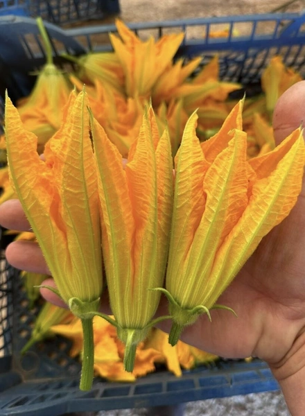 Зачем добавляют цветы в еду и какие сочетания вкуснее