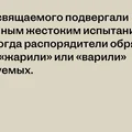 Обед с Бабой-ягой: что ели сказочные персонажи и почему рестораны предлагают нам это сейчас