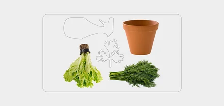 Что можно вырастить дома на подоконнике