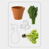 Что можно вырастить дома на подоконнике