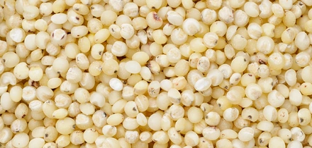 Сорго: что это такое и&nbsp;как его едят