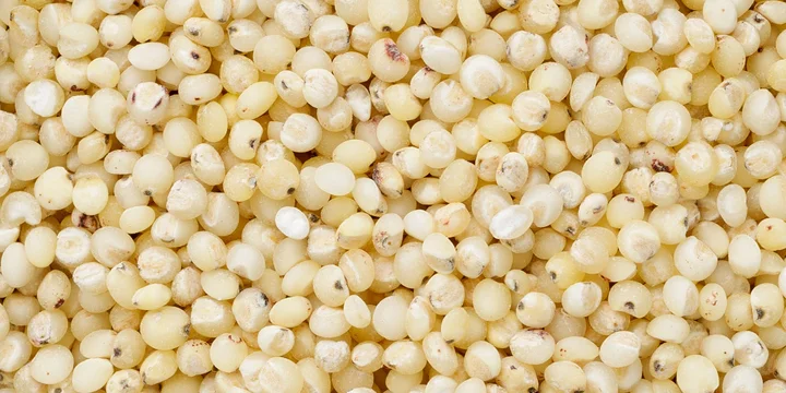 Сорго: что это такое и как его едят