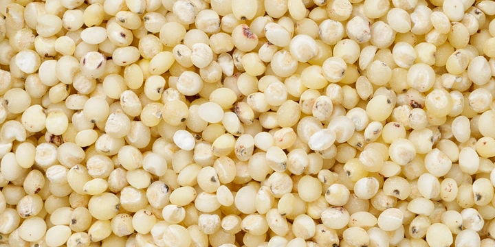 Сорго: что это такое и&nbsp;как его едят