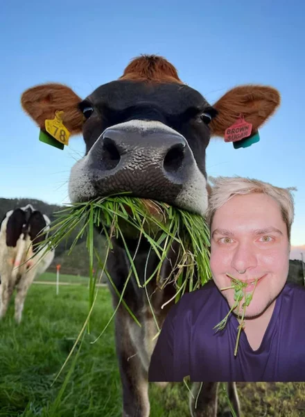 Эксперимент: как мы прикармливали микробиоту