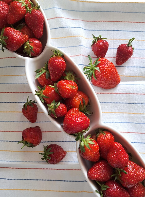 Тестируем новинки вместе: панна-капибара, краснодарская клубника и&nbsp;немного косметики