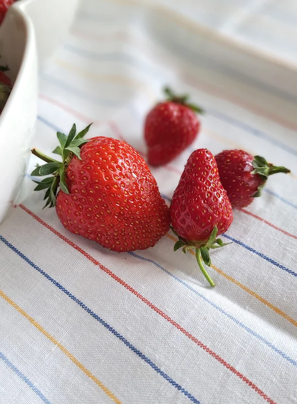 Тестируем новинки вместе: панна-капибара, краснодарская клубника и немного косметики
