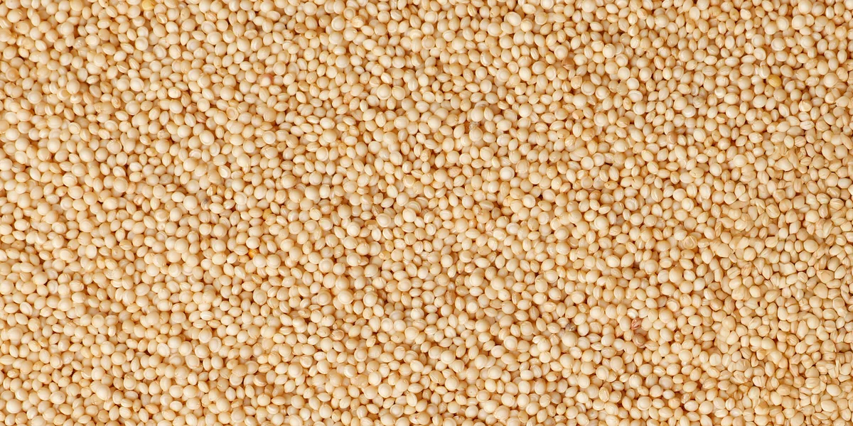 Что такое амарант и чем он полезен