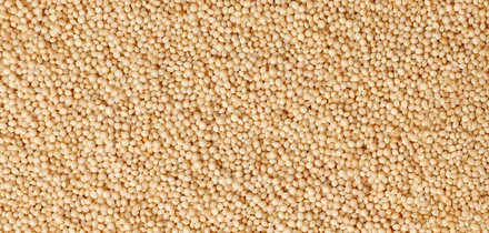 Что такое амарант и чем он полезен