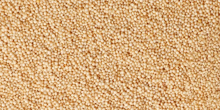 Что такое амарант и чем он полезен