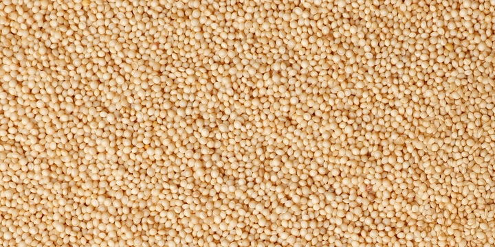 Что такое амарант и&nbsp;чем он полезен