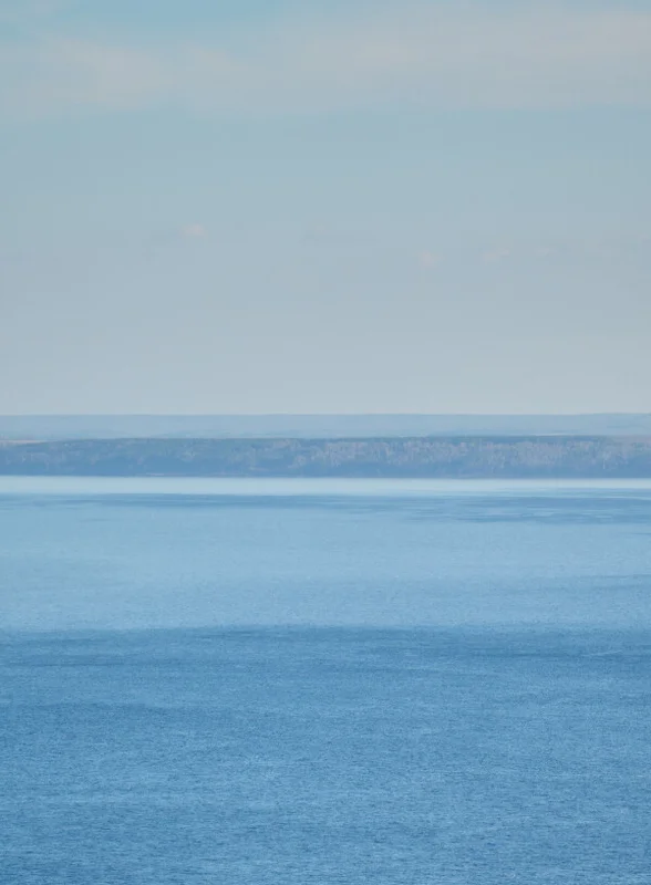 Как на производстве зефира справились с кризисом и подняли уровень качества