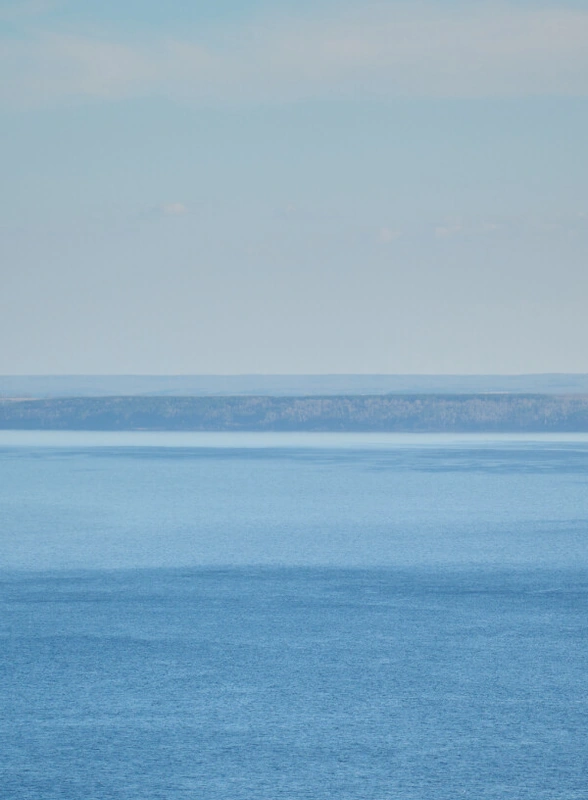 Как на производстве зефира справились с кризисом и подняли уровень качества