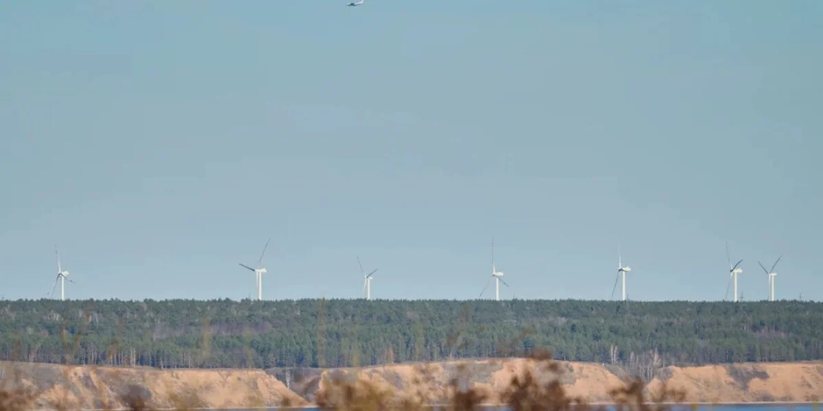 Как на производстве зефира справились с кризисом и подняли уровень качества
