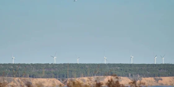 Как на производстве зефира справились с кризисом и подняли уровень качества