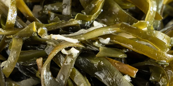 Правда ли, что морская капуста очень полезна