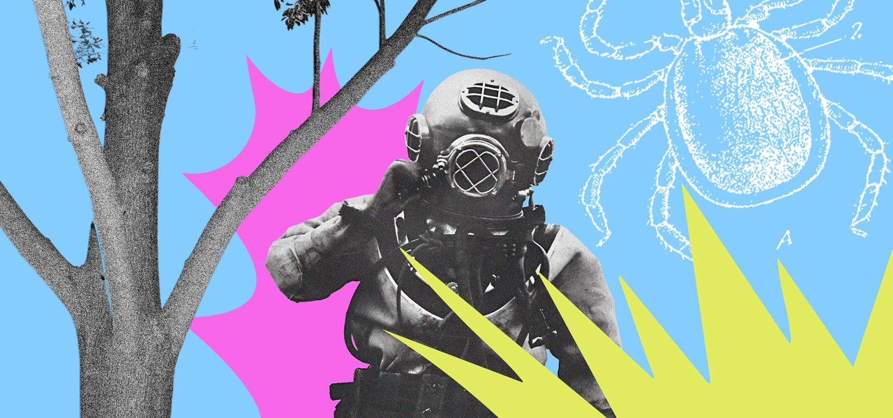 Как спастись от укуса клеща и что делать, если не спасся