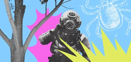 Как спастись от укуса клеща и что делать, если не спасся