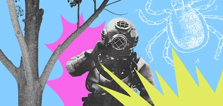 Как спастись от укуса клеща и что делать, если не спасся