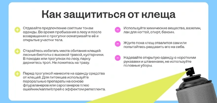 Как спастись от укуса клеща и что делать, если не спасся