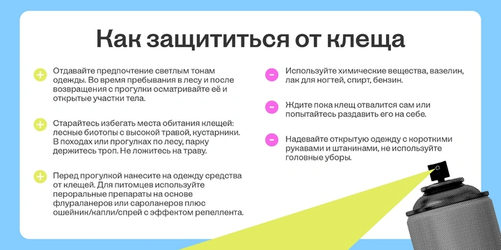 Как спастись от укуса клеща и что делать, если не спасся