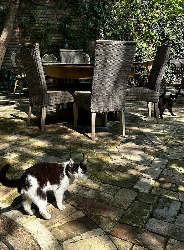 Пока хинкали перевариваются: топ мест в Грузии для уютного чаепития и не только