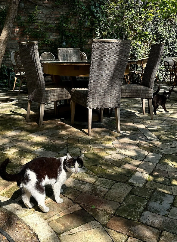 Пока хинкали перевариваются: топ мест в&nbsp;Грузии для&nbsp;уютного чаепития и&nbsp;не только