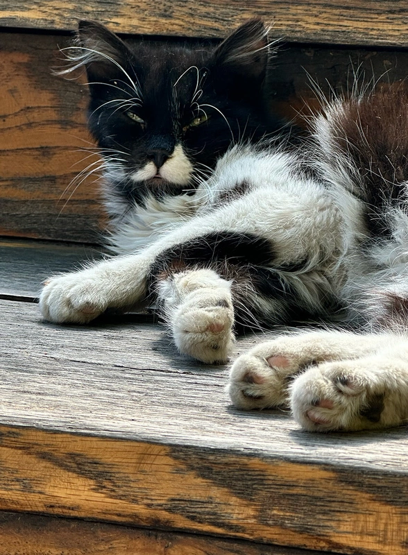 Пока хинкали перевариваются: топ мест в&nbsp;Грузии для&nbsp;уютного чаепития и&nbsp;не только